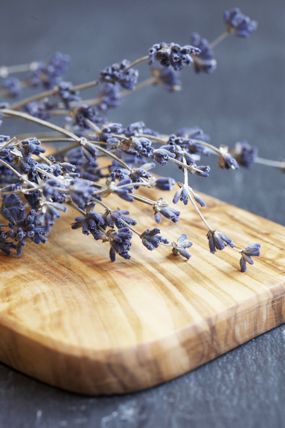 10 lí do để bạn phải yêu mến hoa lavender