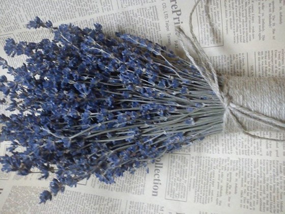 3 lí do bạn nên chọn shop hoa Lavender khô Quang Minh