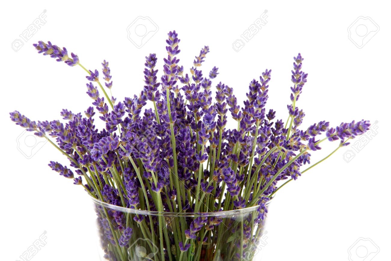Những ý tưởng chuẩn bị Giáng sinh hay ho với hoa lavender khô