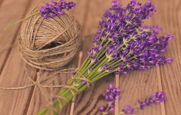 Hoa lavender khô: Gỡ rối nhanh cho các chàng về quà tặng Giáng sinh