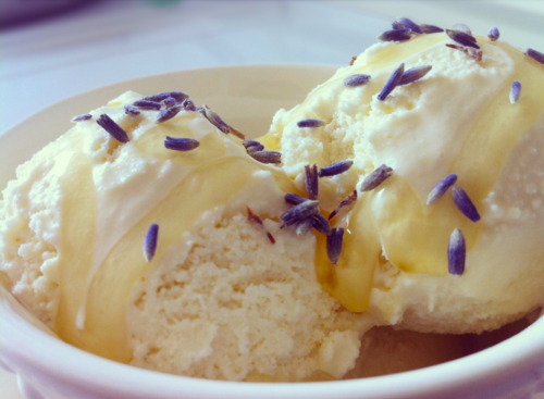 Khám phá công thức kem hương hoa lavender tuyệt vời của người Pháp