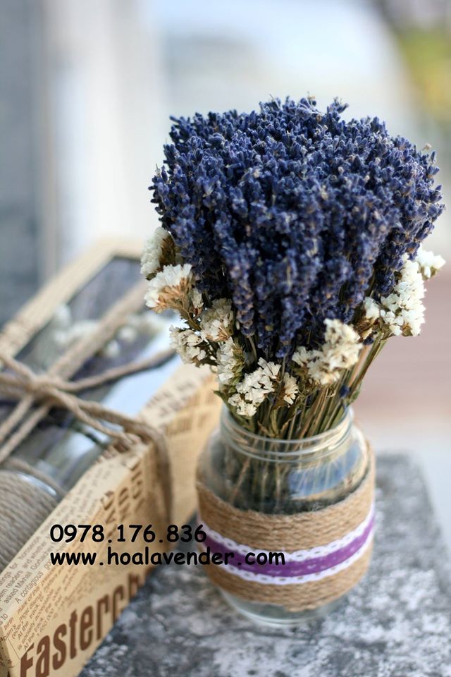 Mua hoa lavender khô cho ngày của mẹ 2016