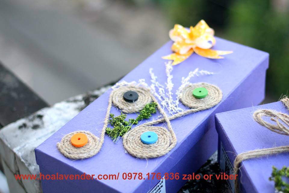 Nhộn nhịp đặt hoa lavender khô cho ngày Nhà giáo Việt Nam 2015