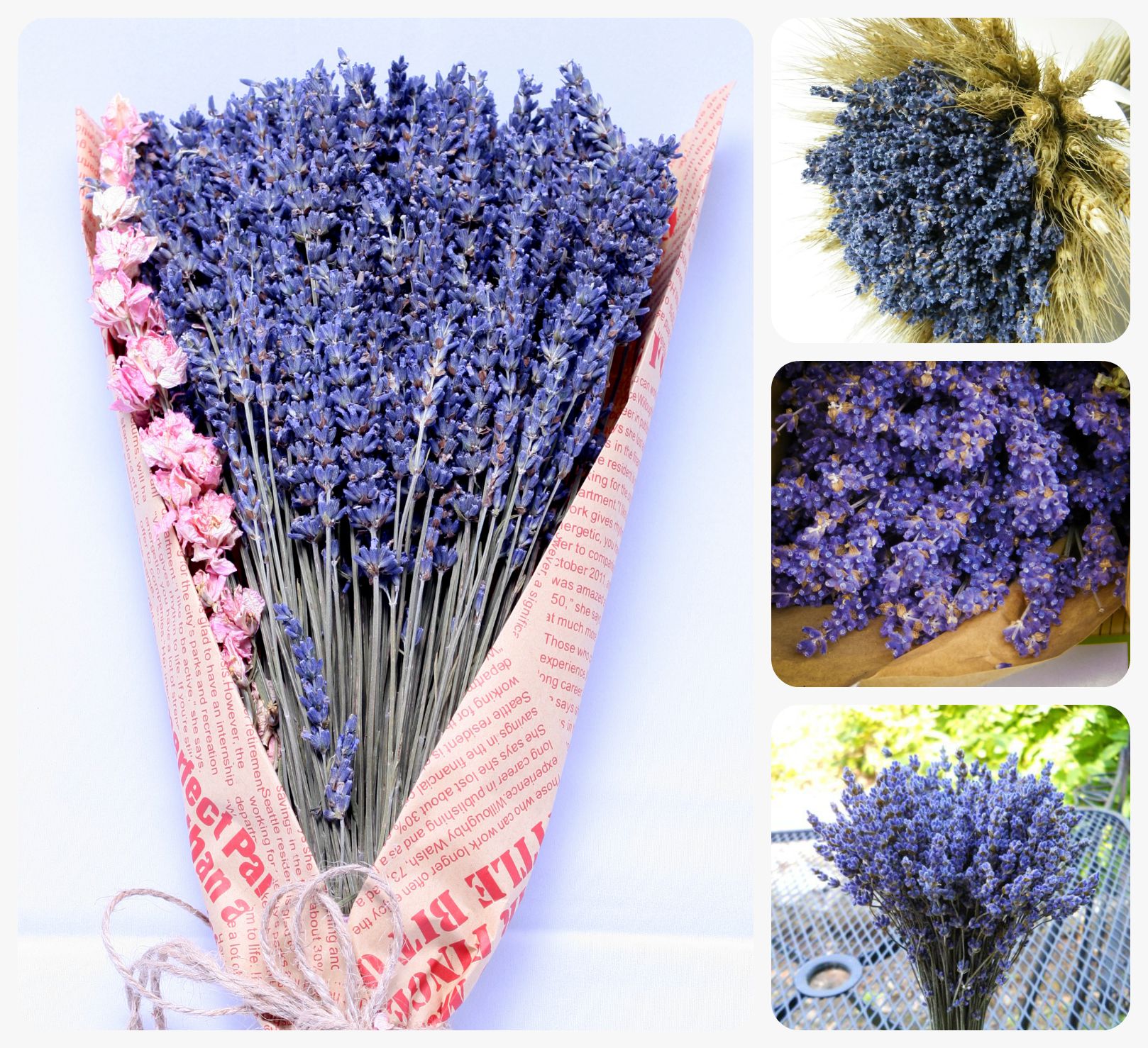 Đi tìm nơi bán sỉ hoa Lavender Pháp đáng tin cậy ở TP.HCM