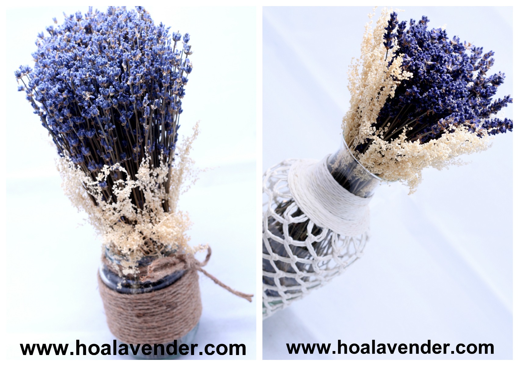 Sốt “xình xịch” với xu hướng chọn hoa lavender khô làm quà