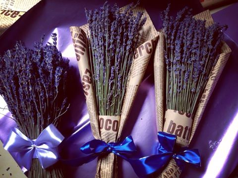 bán sỉ hoa lavender tphcm