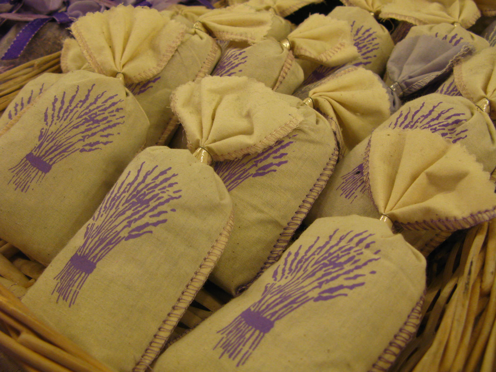 Nơi bán sỉ hoa Lavender Provence ở TP.HCM