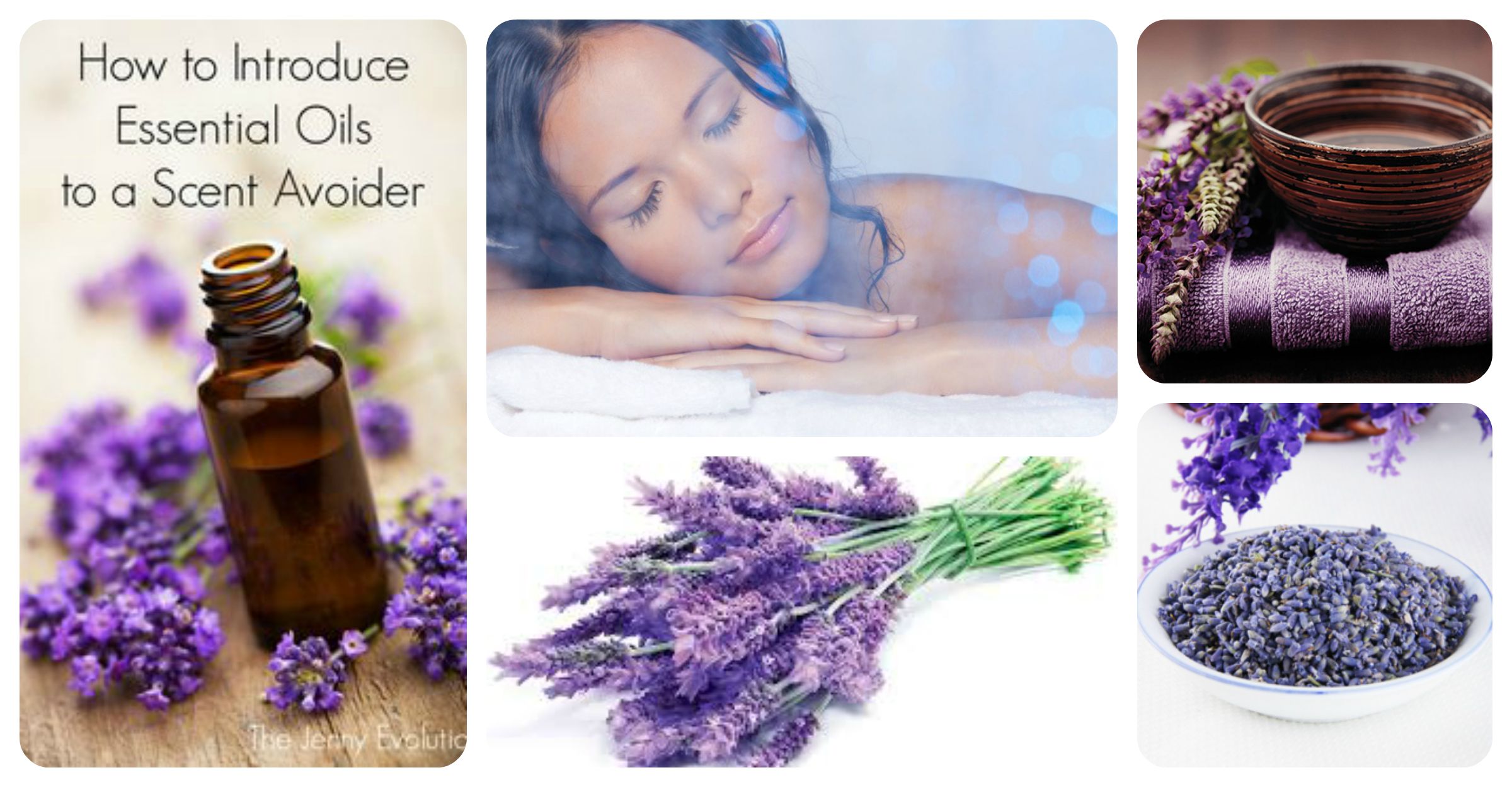 Cùng tinh dầu hoa Lavender tăng cường sức khỏe và làm đẹp