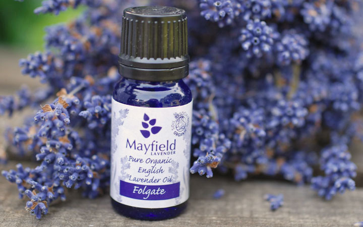 Cùng tinh dầu hoa Lavender tăng cường sức khỏe và làm đẹp