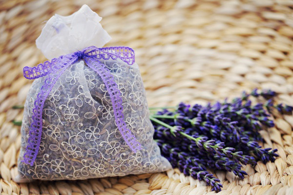 Ai sẽ là người phù hợp với những món quà khác nhau từ hoa Lavender