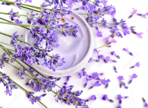 Làm đẹp cùng hoa Lavender khô và tinh dầu hoa Lavender – Phần 2