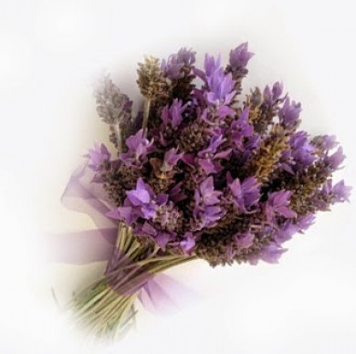 3 điều bạn sẽ gặp phải nếu dùng hoa Lavender khô làm quà tặng