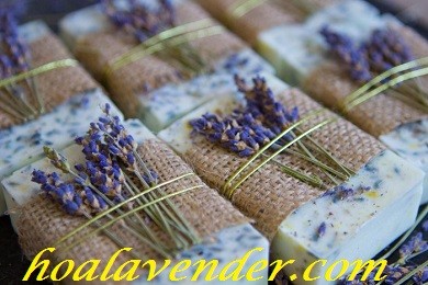 Bật mí cách làm xà phòng hoa lavender khô và vỏ chanh cực thú vị