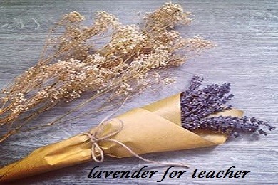 Tặng quà gì cho thầy cô ngày 20/11: hoa Lavender khô có nên không?