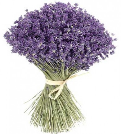 Cơn sốt chọn hoa Lavender khô nhân ngày phụ nữ Việt Nam