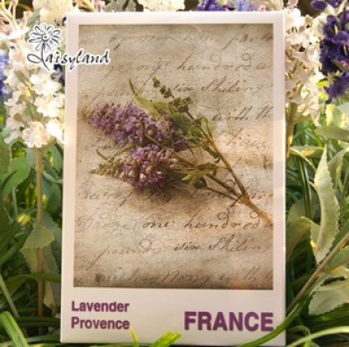 Những món quà handmade từ hoa Lavender khô cho ngày 20/10 ý nghĩa