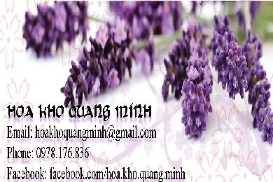 Bán hoa khô lavender: Khởi nghiệp từ bàn tay trắng
