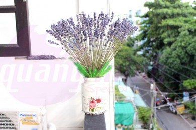 Cách mua hoa lavender khô tại nhà