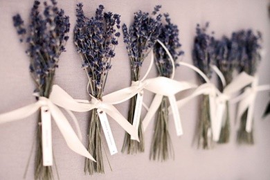 Mua hoa lavender khô ghi điểm tuyệt đối trong mắt người yêu