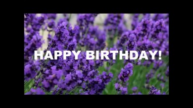 Vì sao lavender là hoa tặng sinh nhật người yêu ý nghĩa nhất?