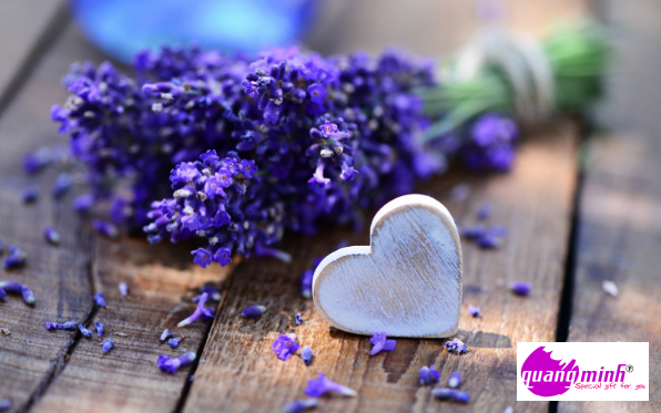 ý nghĩa hoa lavender khô