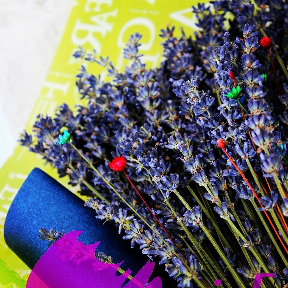 địa chỉ bán hoa khô lavender tại thành phố Hồ Chí Minh