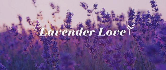 mua hoa lavender khô