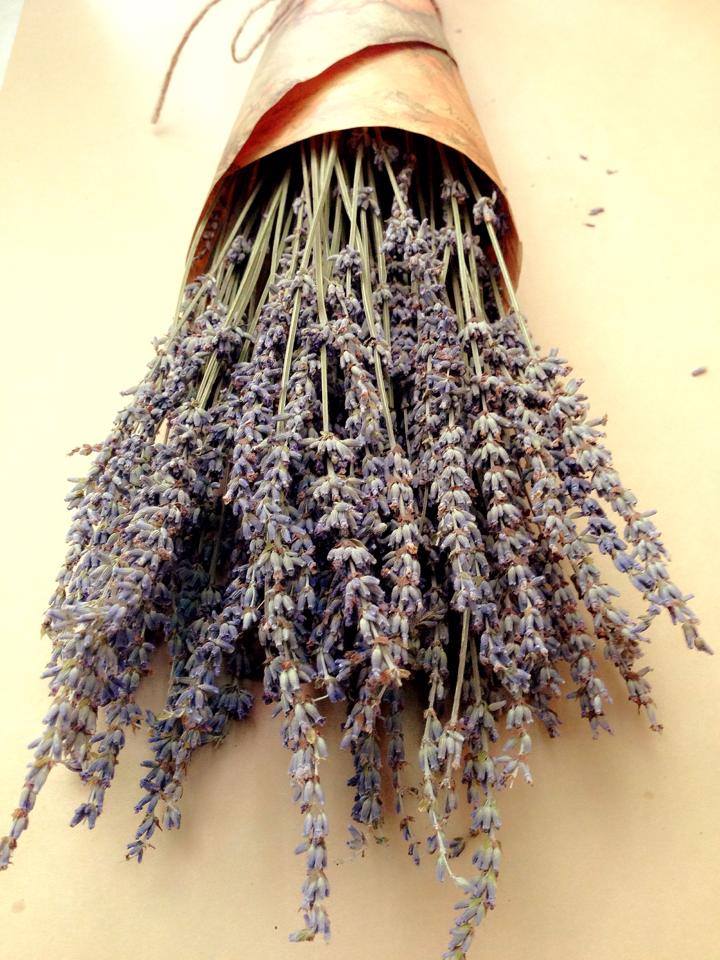 Những ý tưởng chuẩn bị Giáng sinh hay ho với hoa lavender khô