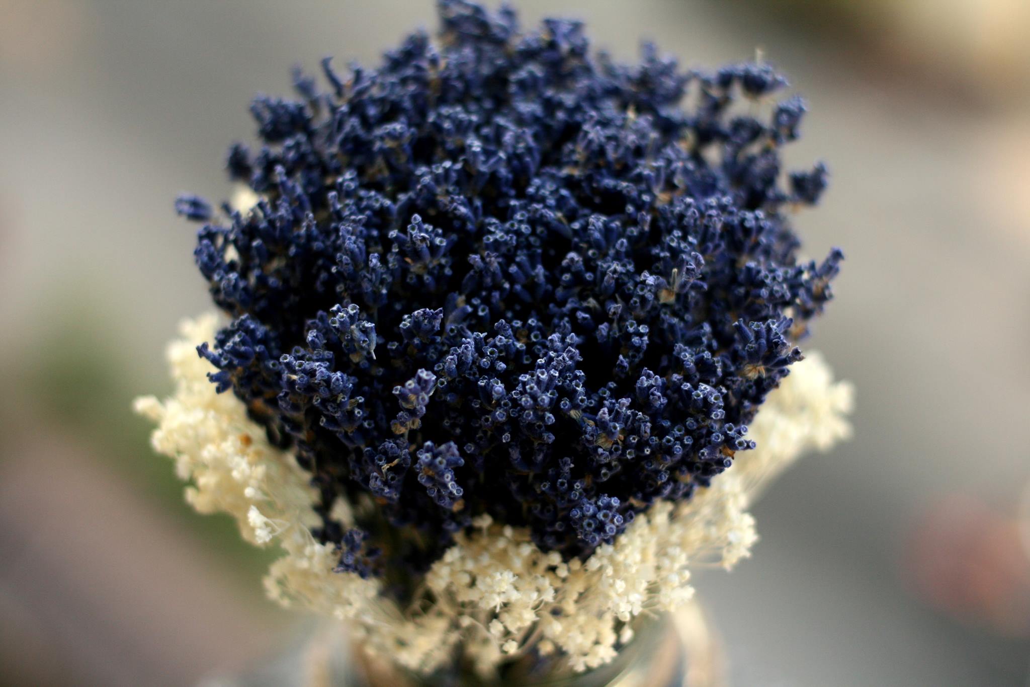Ngất ngây với các mẫu hoa lavender khô cho Quốc tế Phụ nữ