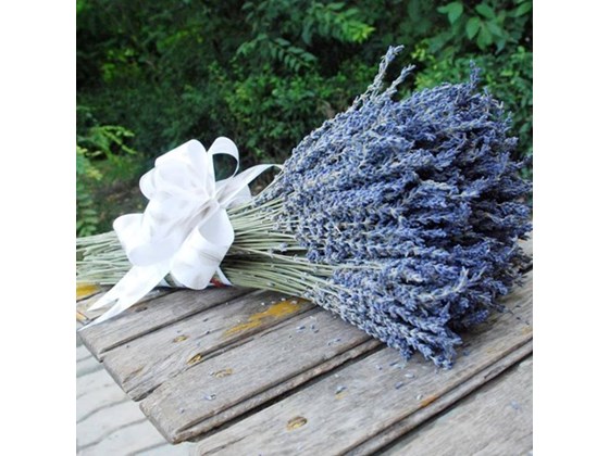 Ý tưởng “kịch bản” ngày 20 – 10 từ hoa lavender cho cánh mày râu