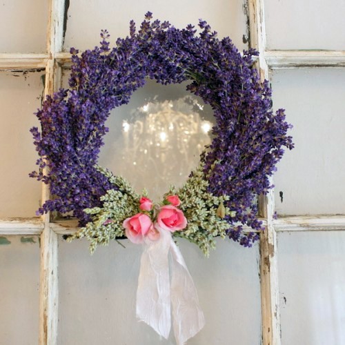 5 ý tưởng cho căn nhà của bạn từ hoa lavender khô tphcm cực hay ho