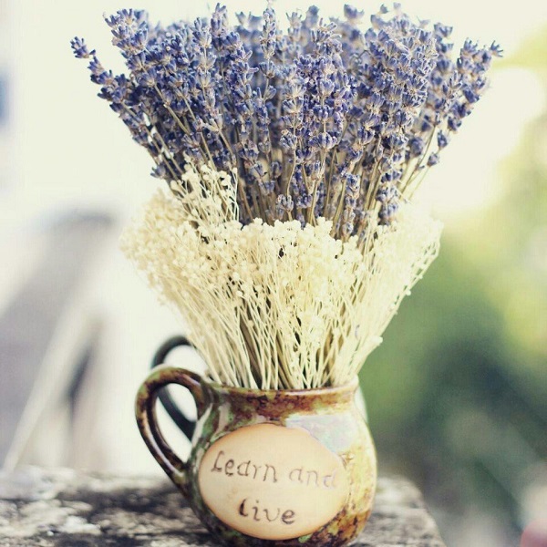 hoa khô lavender hcm