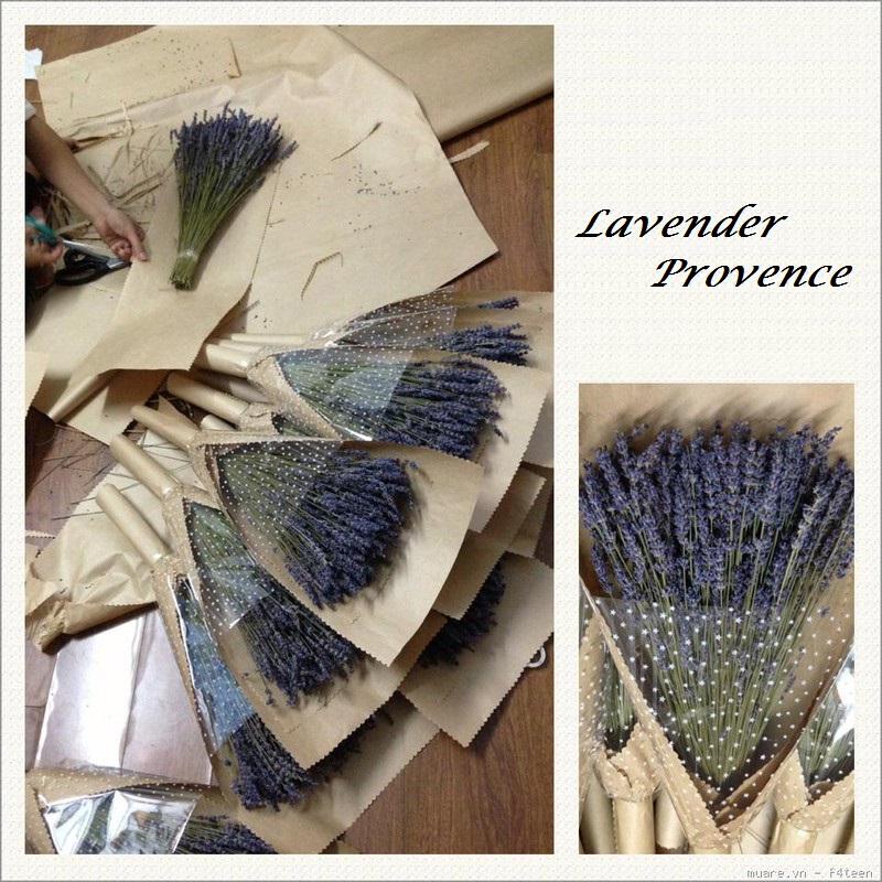 Bỏ túi ngay kinh nghiệm mua hoa lavender khô tphcm