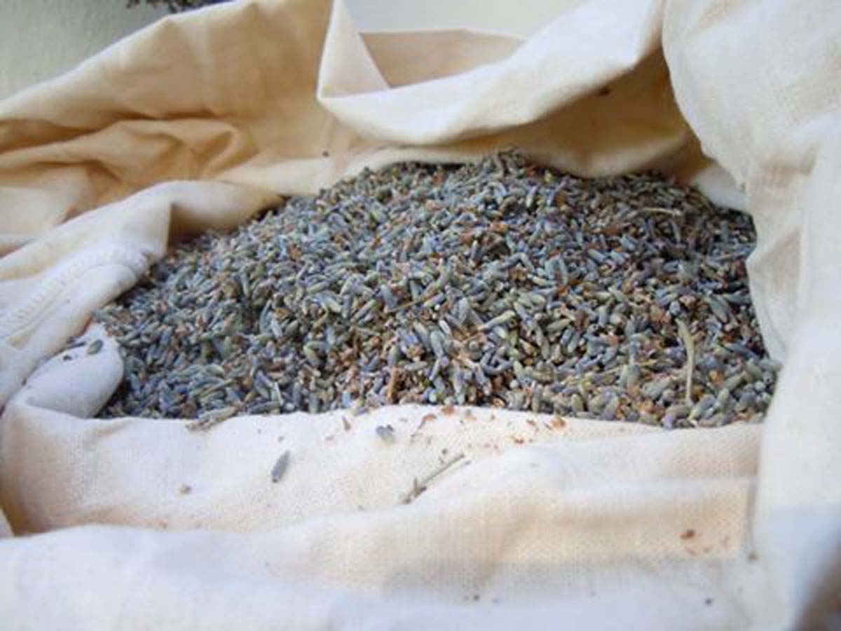 Cách làm chiếc gối gạo hoa lavender tặng mẹ ngày Phụ nữ Việt Nam