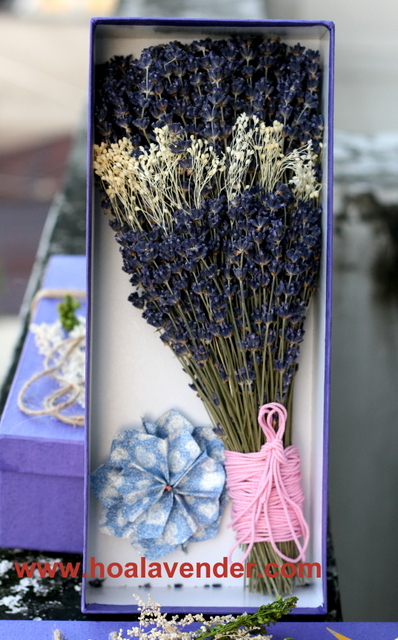 Có nên chọn hoa lavender khô TP.HCM làm quà tôn vinh thầy cô?