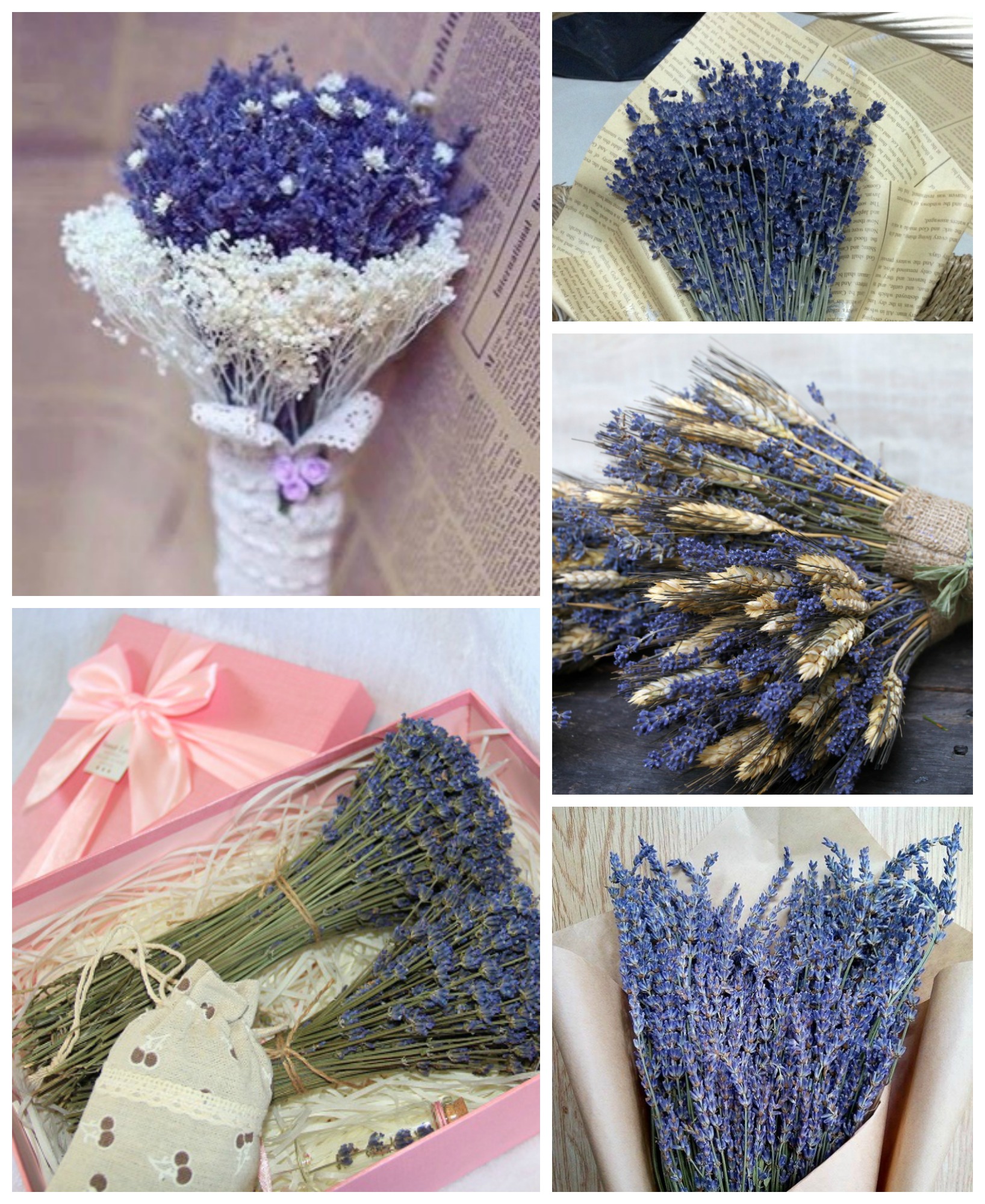 Bó hoa baby phối hoa khô Lavender Pháp  Quà tặng sinh nhật tốt nghiệp  các dịp lễ  Lazadavn