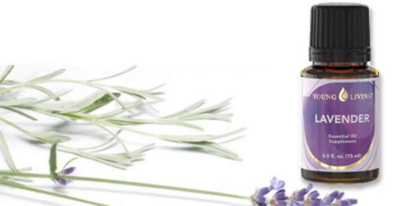 Hoa lavender – Những câu chuyện bây giờ mới biết – Phần 1