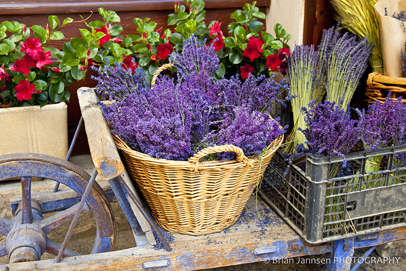 Khuyến mãi đặc biệt trong mùa Giáng sinh cho sản phẩm hoa lavender khô