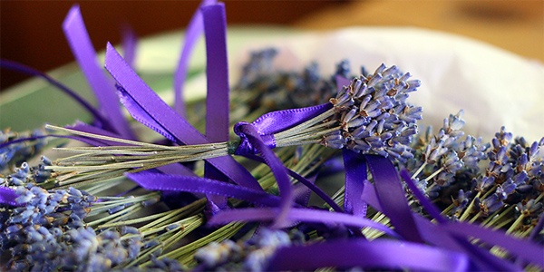 Tại sao bạn nên sở hữu một túi thơm hoa lavender khô