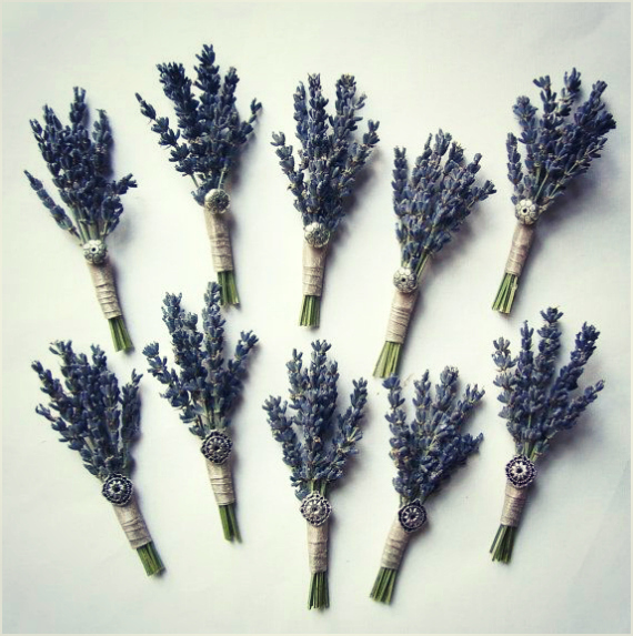 Hoa lavender khô – Bừng sáng sắc màu tiệc cưới