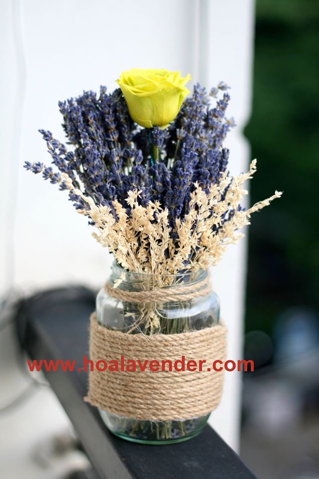 Tặng hoa lavender khô ngẫu hứng cho ngày cuối năm bận rộn