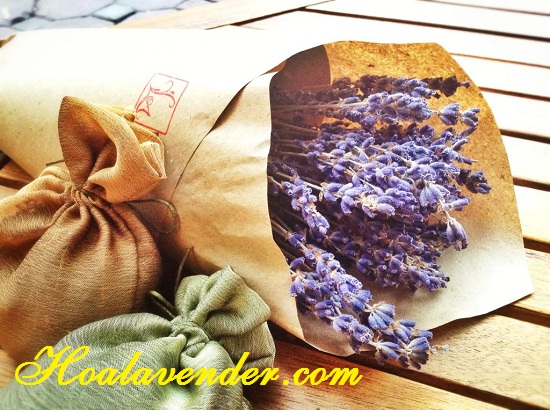 Bán sỉ hoa Lavender ở Hoa Khô Quang Minh