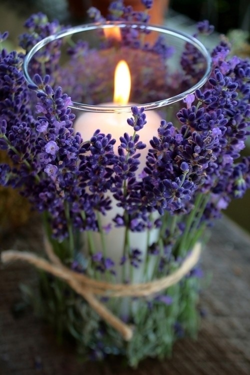 Những ý tưởng handmade từ hoa lavender khô để trang trí ngày Tết