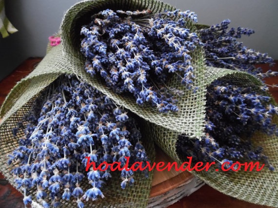 Hoa lavender khô chưng Tết – phong cách chơi hoa khác lạ của nhiều gia đình ở TP.HCM