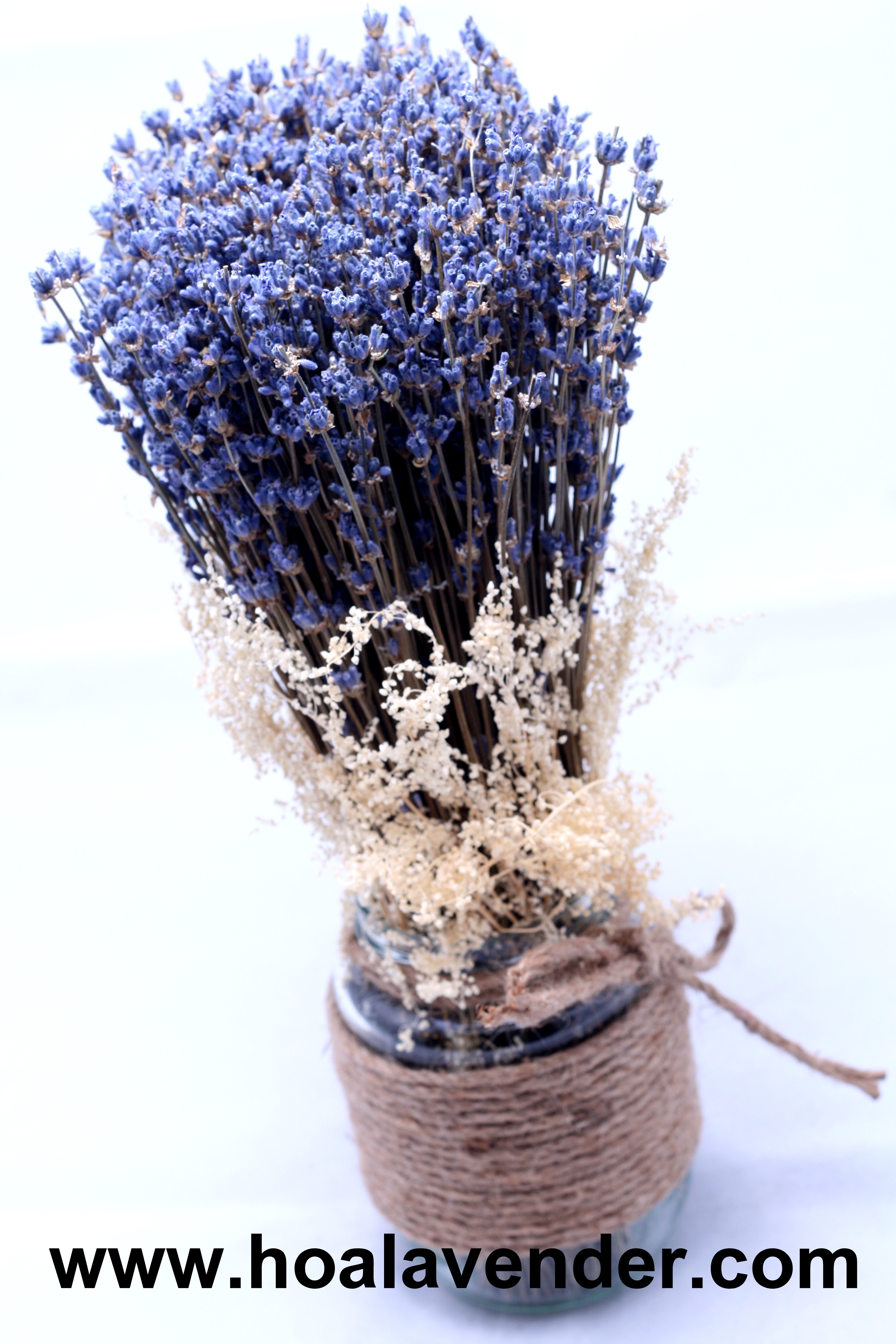 Bắt nhịp xu hướng chơi hoa lavender khô hiện đại