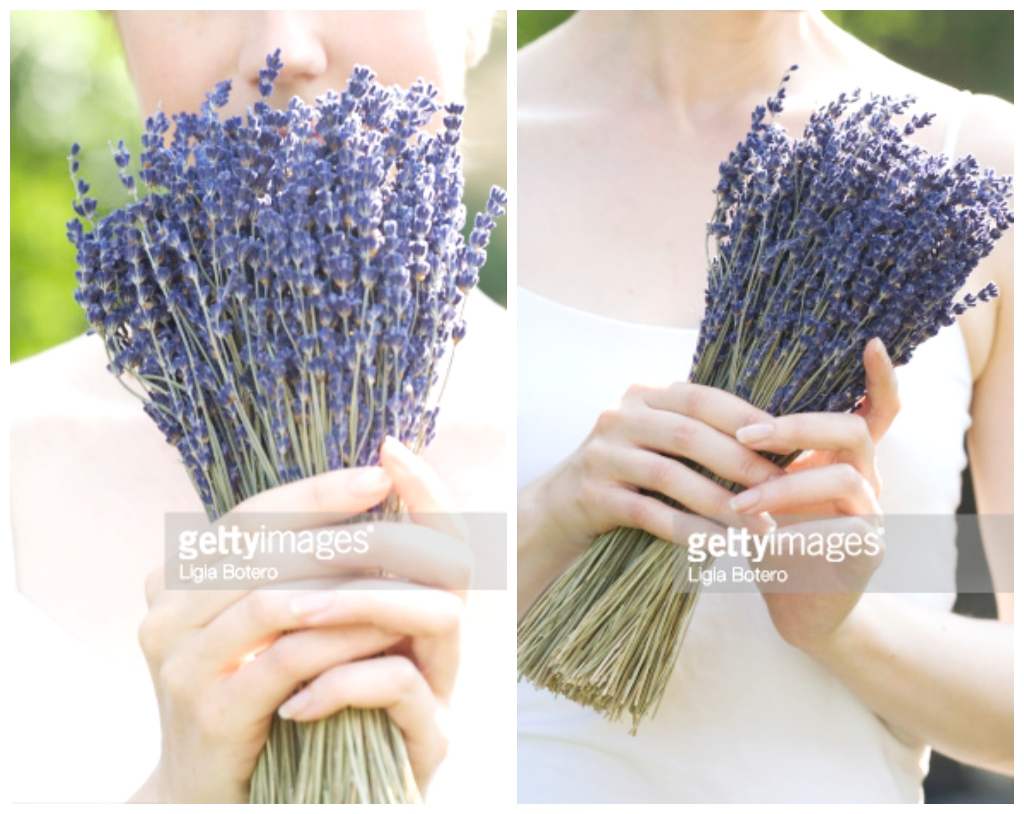 Hoa lavender khô liệu có phù hợp cho phái đẹp ?