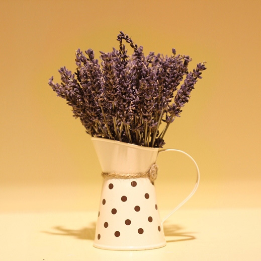 Hoa lavender khô bình 