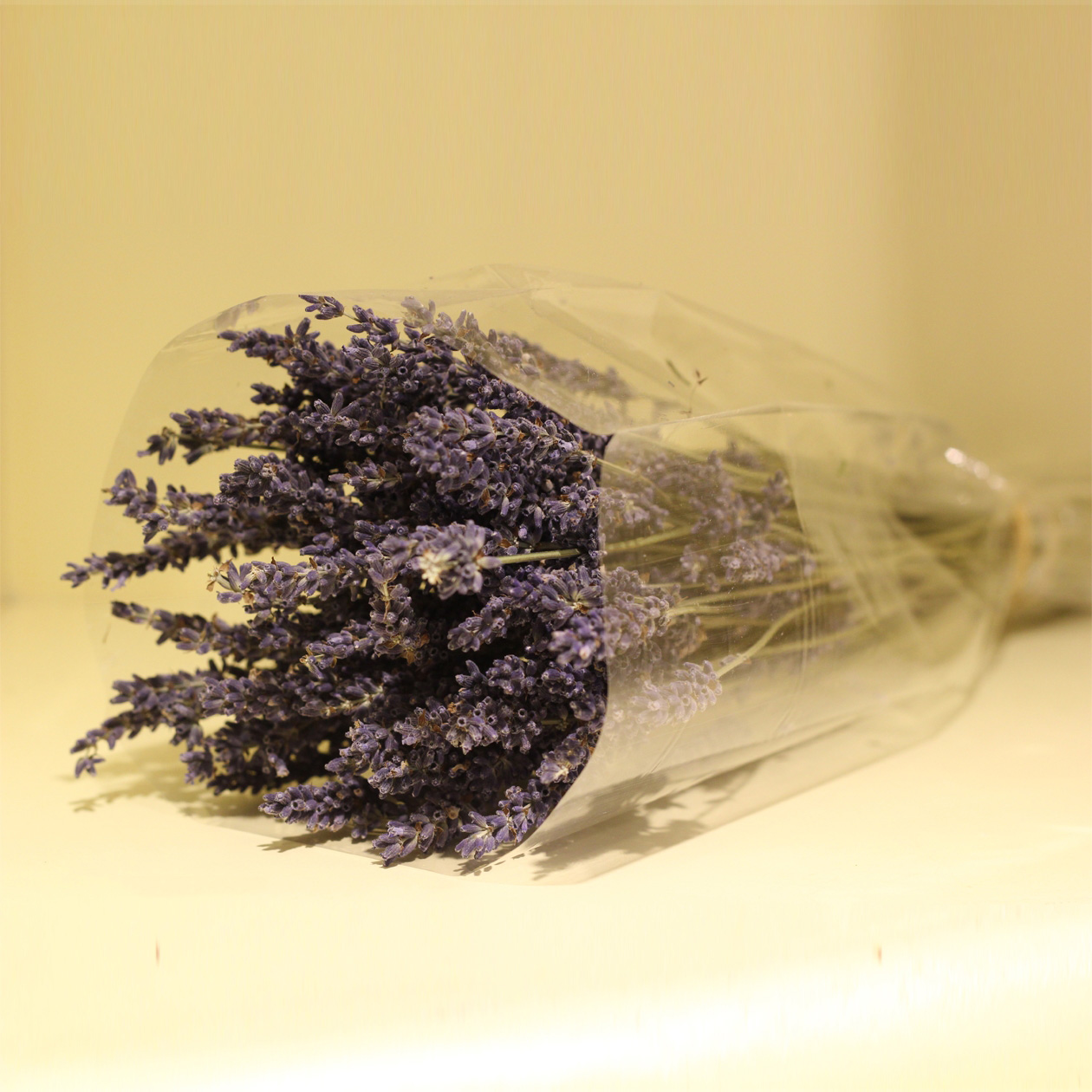 Hoa lavender khô bó 5