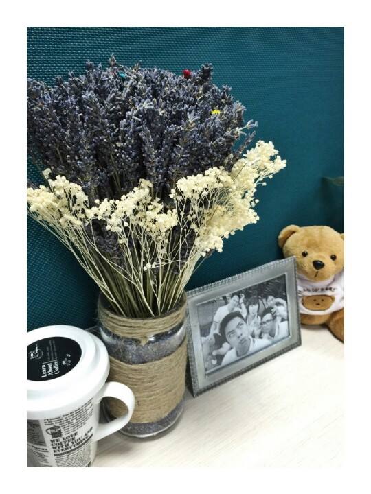 Hoa lavender khô để bàn: Gợi ý hay về phong thủy cho dân công sở