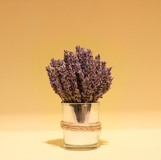 hoa lavender khô qt1